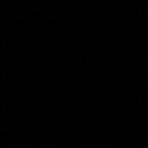 Meet your Posher, Ella